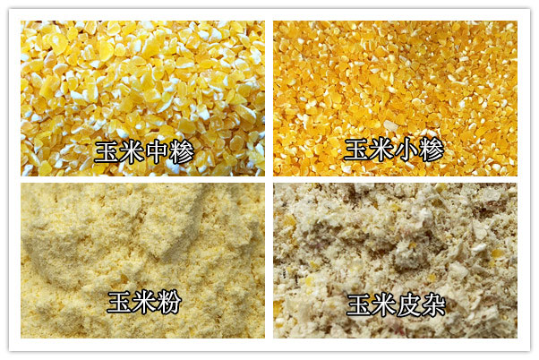 DNM-3B 玉米脫皮制糝制粉一體機(jī) FINISHED PRODUCTS