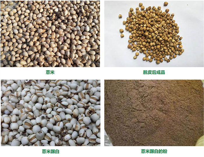 薏米加工成套設備 FINISHED PRODUCTS