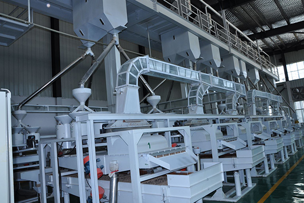 薏米加工成套設備