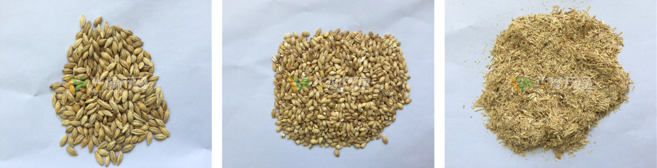 大麥加工成套設(shè)備 FINISHED PRODUCTS