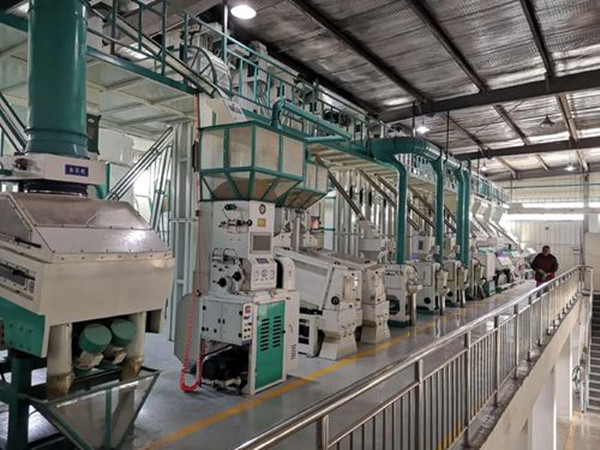 黎麥加工生產(chǎn)線